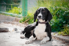 10441381_1726994094199013_3983451373410802557_n