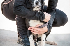 12661777_1726994010865688_3124378866351880048_n