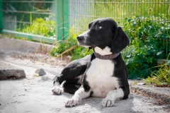 12744060_1726994120865677_8261845746556225007_n