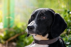 12744087_1726994124199010_410988104589908692_n