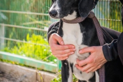 1915579_1726994054199017_1140715191189856865_n