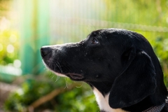 734837_1726994150865674_4068395383221405245_n