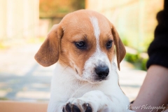 12523092_1714056458826110_4921937835123393710_n