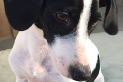 12042742_1687901464774943_1598697350484504188_n