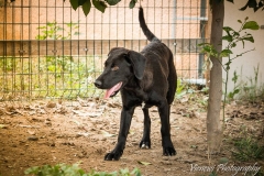 12651375_1719514434946979_7620916792812027865_n