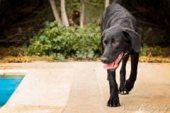 12654321_1719514461613643_7115164257081081812_n