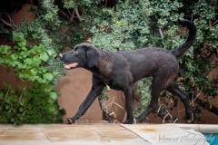 943927_1719514421613647_6017975851005299776_n