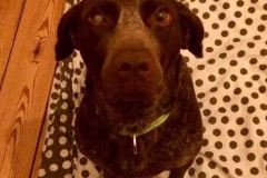 24550628_1752468044786680_1129857897_n