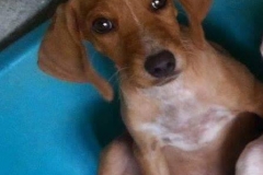 1514625_1688178911413865_9095746910269678920_n