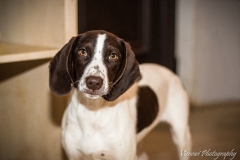 10397826_1707717506126672_6305865369433862286_n