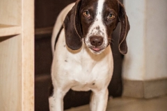 10644513_1707717502793339_6629359222249610570_n