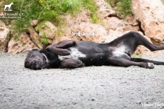 Indianna IMG_0530-960