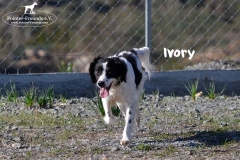bild1