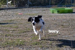 bild3