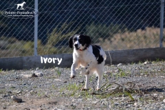 bild5