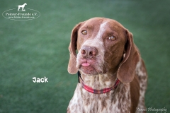 Jack IMG_0301-960