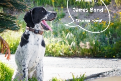 James Bond IMG_0069-960