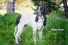 James Bond IMG_0097-960