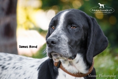 James Bond IMG_0108-960