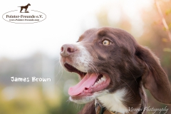 James Brown IMG_2817-960