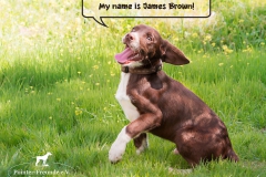 James Brown IMG_2832-960