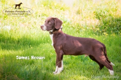 James Brown IMG_2844-960