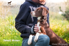 James Brown IMG_2855-960