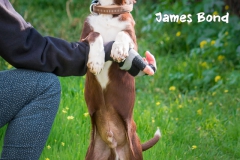 James Brown IMG_2866-960