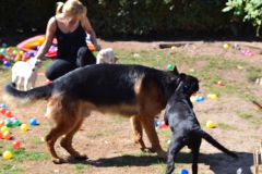 DSC_1328