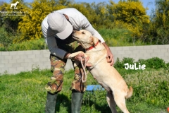julie_1