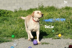 julie_5