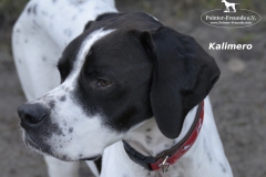 Kalimero6