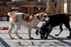 12421496_10201409069504826_106894953_n