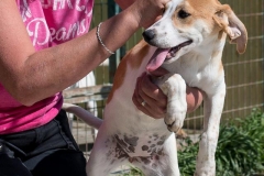 12498453_10201409068544802_1165700113_n