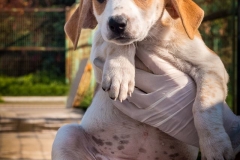 12705454_1724880751077014_1400282780276083632_n