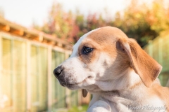 12705681_1724880757743680_5651516504580871159_n