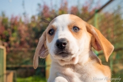 12741994_1724880677743688_741781756051430363_n