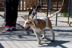 12767515_10201409069184818_1487417308_n