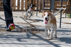 12767769_10201409069304821_1325945982_n