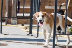 12782076_10201409069384823_1426157951_n