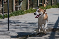 12782325_10201409068904811_66703163_n