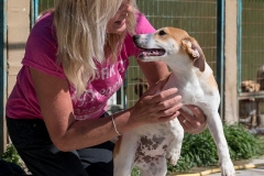 12782496_10201409069064815_639141467_n