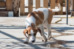 12784216_10201409069424824_1360763501_n