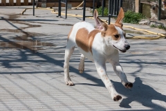 12784421_10201409069264820_1944022183_n