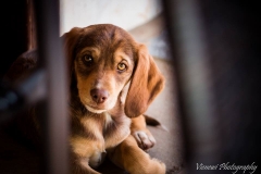 10255292_1707811889450567_7478227846154040627_n