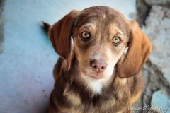 10580083_1707811856117237_8524126430759033509_n