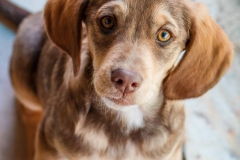 12241224_1707811842783905_2903230194667521249_n