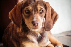 3792_1707811899450566_98441088861243978_n