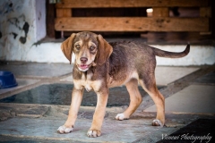 947086_1707811859450570_214090007532838508_n