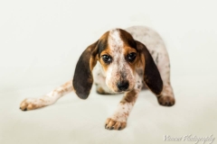 12510322_1710583179173438_2268570539360312898_n